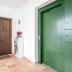 Santacruz Buganvilla41