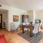 Santacruz Buganvilla41 *